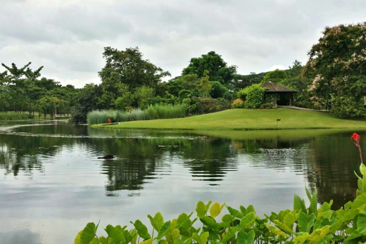 Eco-Garden and Eco-Lake